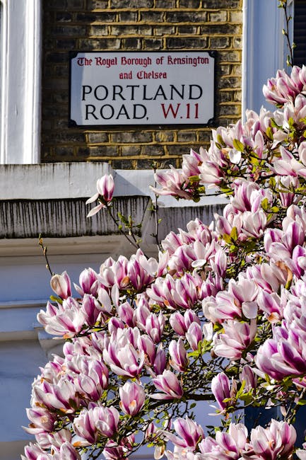 A vibrant bouquet of pink and white magnolia flowers with large, smooth petals and green leaves, arranged in a natural, slightly cascading style. The flowers are freshly picked, showcasing their soft 