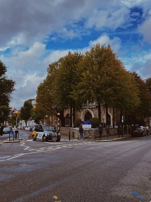 A street scene featuring a large, mature tree with dense foliage showing hints of autumn colors, situated in front of a small historic building with an arched entrance and a sign reading 'Knights Temp